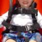 Jennswing ADA Swing Seat Harness