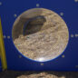 Bubble Panels are classic play items that allow interaction between young friends.
