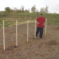Agility Poles