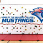 Customize your own mural for an additional cost!