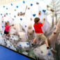 Available with the Mountain Mural Package for an additional cost!