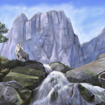 Make murals a part of your climbing experience