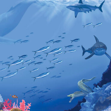Available with the Ocean Mural Package for an additional cost!