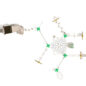 Bucktown Get Physical Structure - Top View