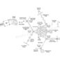 Bucktown Fitness Structure - labeled events