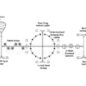 Sinai Fitness Structure  - labeled events