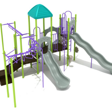 Custom Colors - Teal Roof, Lime Green Posts, Gray Slides, Purple Rails