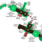Platypus Plunge - Labeled Events