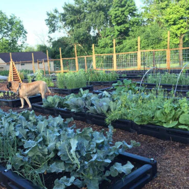 Customized Shape and Sizes available. Call us to customize your border timber raised garden bed!