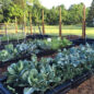 Perfect for moving garden beds to a different location