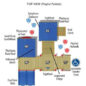Hamlet Structure - Top View