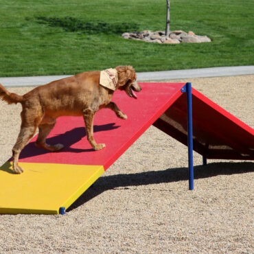 Dog-On-It Parks Dog Park A-Frame