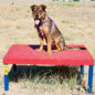 Wait Table in Red