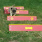 Hound Hurdles in Red
