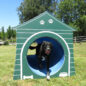 Double Bow Wow Barrel with custom dog house in Green