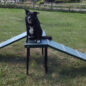 Dachshund Double Ramp in green