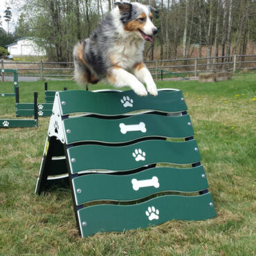 Collie Crawl in Green