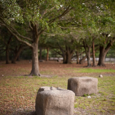 Natural looking play components accentuate any environment.