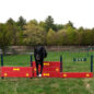 Dog-On-It Parks Tri-Level Dog Jump