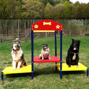 Dog-On-It Parks Step Up Table - Red