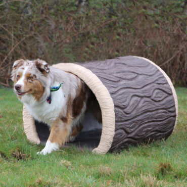 Dog-On-It Parks Terrier Tunnel