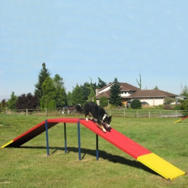 Dog Walk Ramp