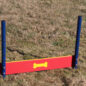 Single Pointer Plank Jump in Red