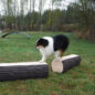 Dog-On-It Parks Dog Leg Walk