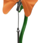 Orange Toddler Butterfly
