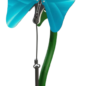 Turquoise Toddler Butterfly