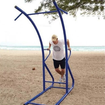 Pull-Up and Dip Station