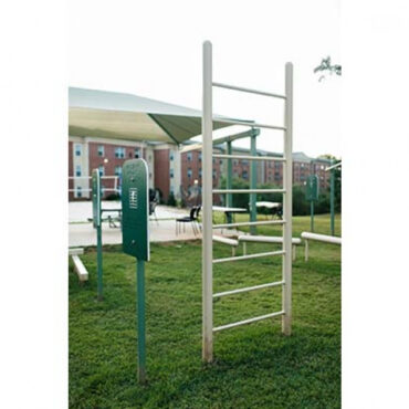 Vertical Ladder