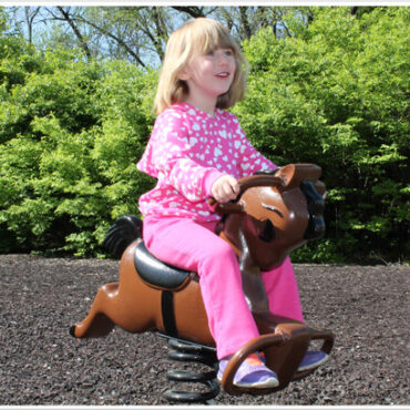 Derby Spring Rider