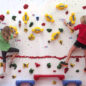Everlast Climbing Adaptive Climbing Walls