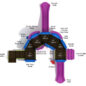 Lambkin's Lute Castle Spark Playground Structure - Top