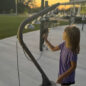 Cascade Bells are perfect to beautify community parks